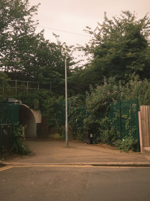 A paved pathway leading from a quiet residential street into a small, enclosed area surrounded by tall, green foliage and metal fences painted in dark green. The pathway is partially shaded by overhanging tree branches, with sunlight filtering through, creating a soft lighting effect. In the background, there is a low brick wall and an arched tunnel structure, possibly an access point to an underground space or passage. A tall, grey utility pole stands prominently in the center of the image, with no visible wires connected to it. The environment appears calm and well-maintained, with the greenery indicating a garden or private yard boundary. The overall scene suggests a discreet entryway that could be related to bulk waste collection or private disposal services, such as those managed by Waste Collection Bow, situated near Bow Road station. The scene’s clean, tidy appearance aligns with on-site waste clearance activities undertaken outside the public authority’s typical scope, reflecting independent rubbish removal activity or alternative waste handling options.